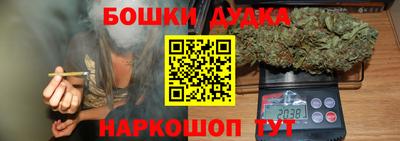 mdpv Бердск
