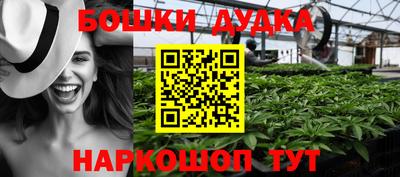 mdpv Бердск