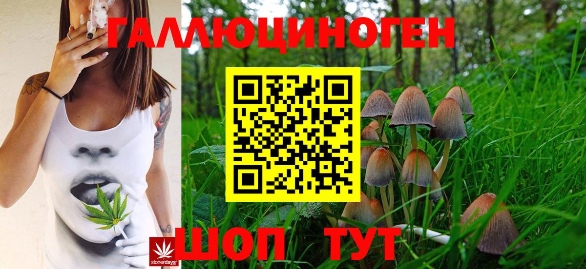 Галлюциногенные грибы GOLDEN TEACHER  Вход с VPN  Евпатория 